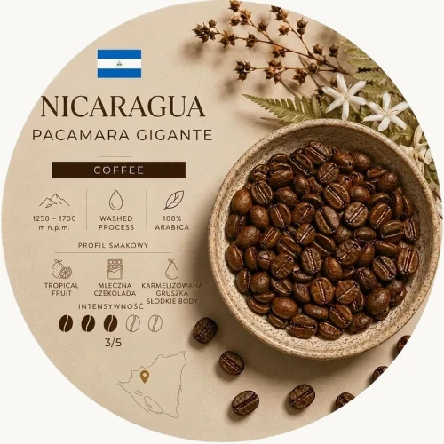 Nikaragua Gigante - beige